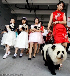 MarketingChine_chien-chine