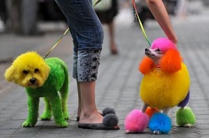 MarketingChine_chien-chine-peint