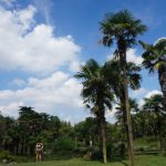 grandbondmilieu_jardin_botanique_shanghai